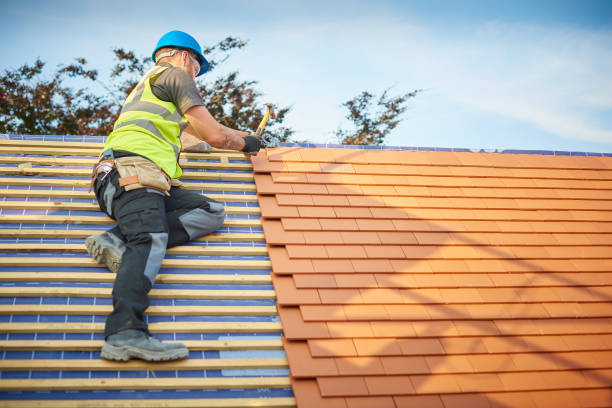 Best Roof Moss and Algae Removal  in Broussard, LA